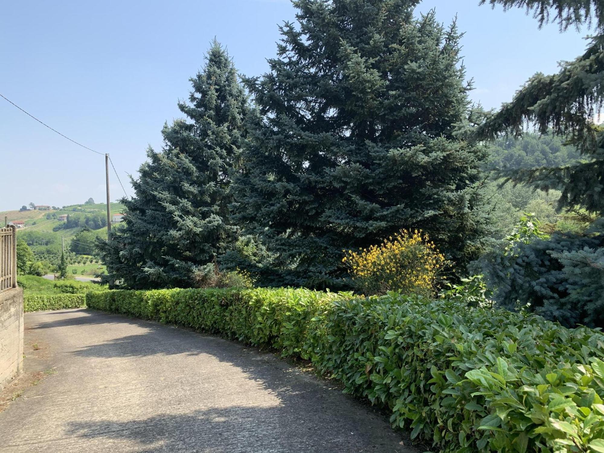 Apartamento Bricco Nebbiolo Neviglie Exterior foto